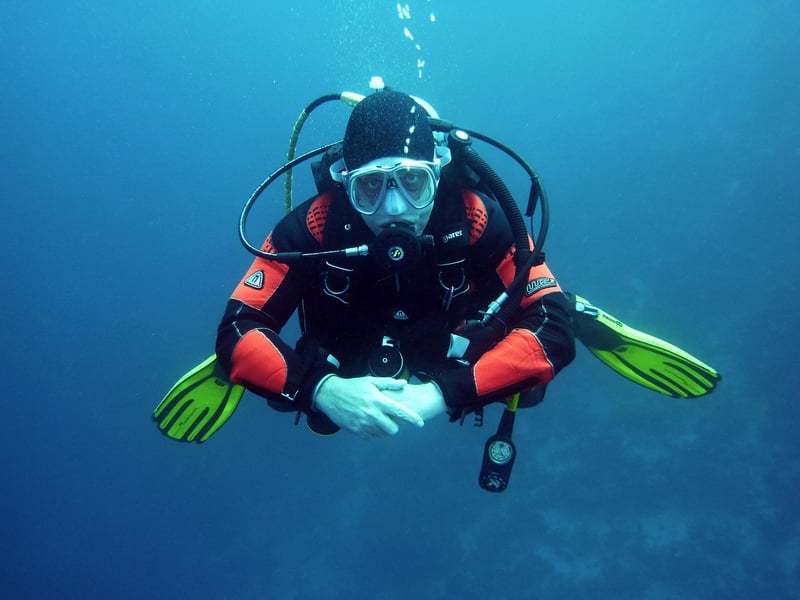 Diving and Snorkeling Image