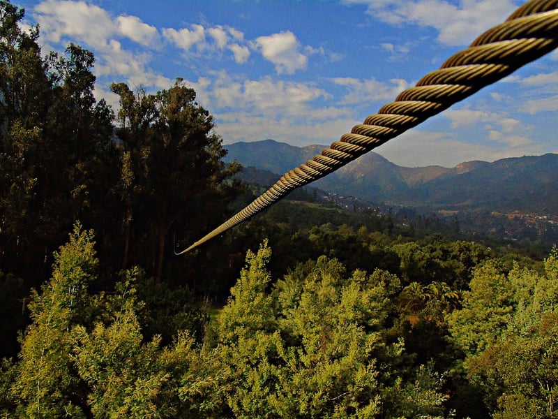 Ziplining in the forest